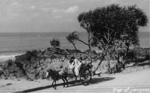 Sur la route du Cap Saint-Jacques en 1952
