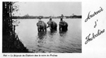 Hué la baignade des  Elephants dans la rivière des Parfums