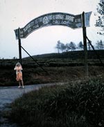 Plantation de Th� de Arbre Broy� Dalat 